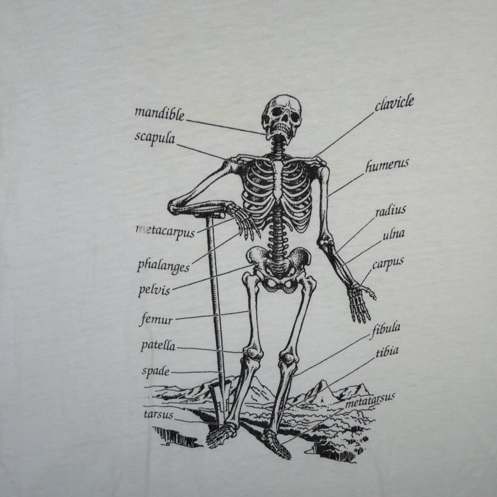 Vintage Skeleton Shirt Mens XL White 90s Anatomy Science Bones USA Art Portrait gallery
