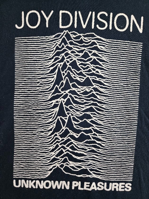 Joy Division Shirt Mens Large Unknown Pleasures Black Band Tee gallery