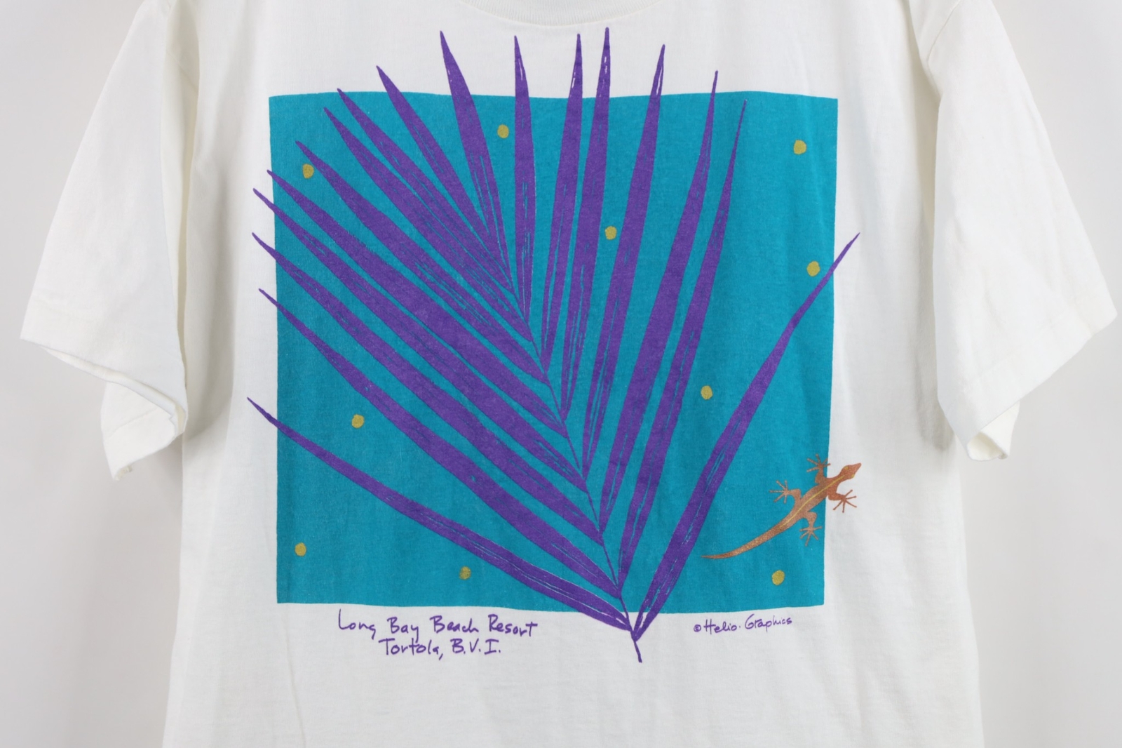 Vtg 90s Streetwear Mens Medium Long Bay Beach Virgin Islands Lizard T-Shirt USA gallery
