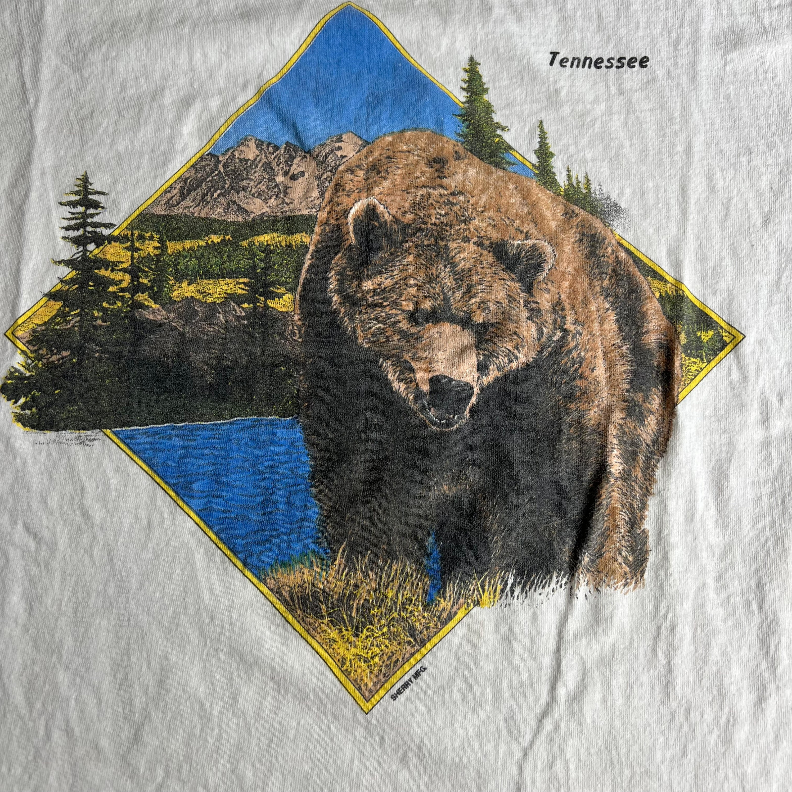 VTG Grizzly Bear T Shirt Fits Medium Tennessee Vacation Tee High Neck 1980s USA gallery
