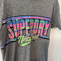 Superdry Men’s Acid Graphic Mid Weight T-Shirt Short Sleeve Gray Neon Crew M