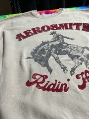 Aerosmith Ridin’ High Cowboy Sweatshirt Flocked Velvet