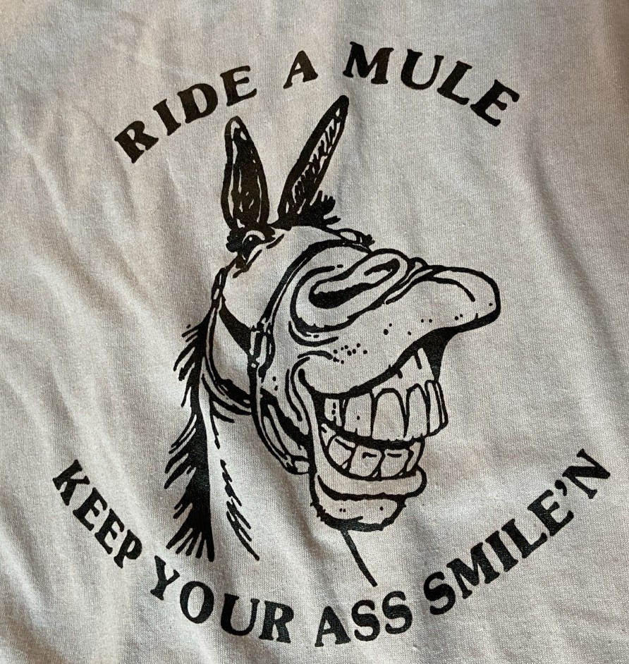 Vintage Ride A Mule T-Shirt Humor Funny Cartoon Grey XL gallery