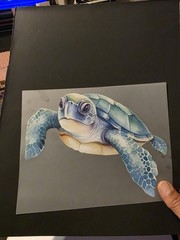 Custom Turtle Tshirts