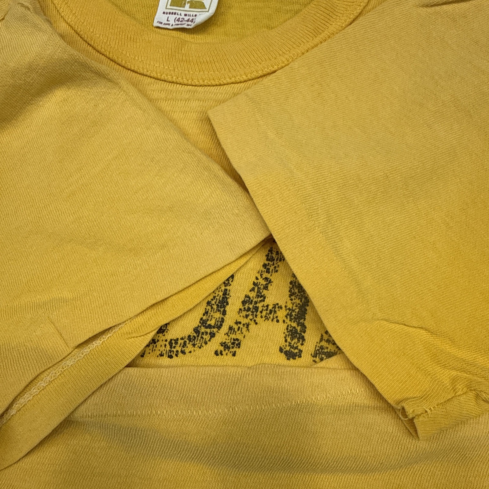 VTG 80s Russell Athletic Size LARGE University Idaho Vandal Swimming Shirt USA gallery