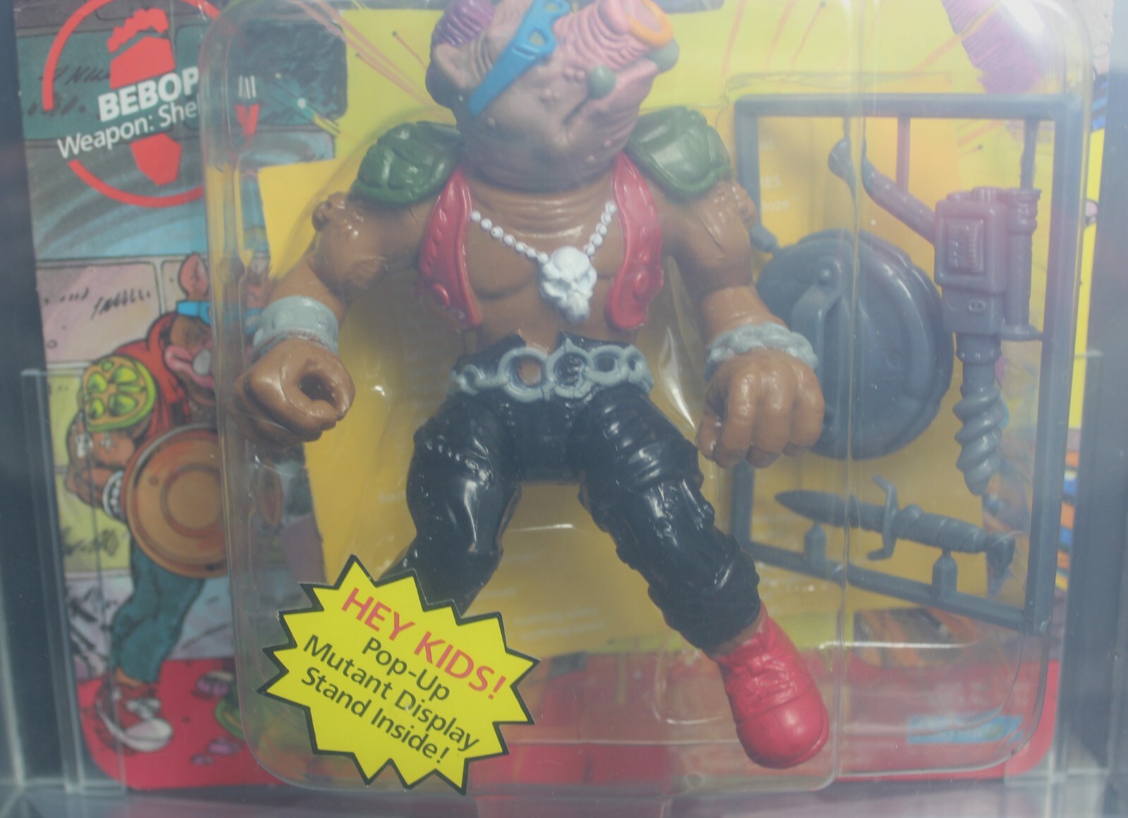1988 TMNT Bebop 10-Back Series 1 MOC Figure – Soft Head – POP UP DISPLAY AFA 75+