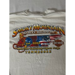 Harley-Davidson 105th Anniversary Long Sleeve Shirt White Smoky Mountain Mens M