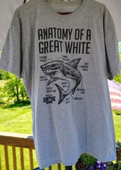 Men’s Gray Short Sleeve T-Shirt. Size 2XL. Anatomy Of A Great White.