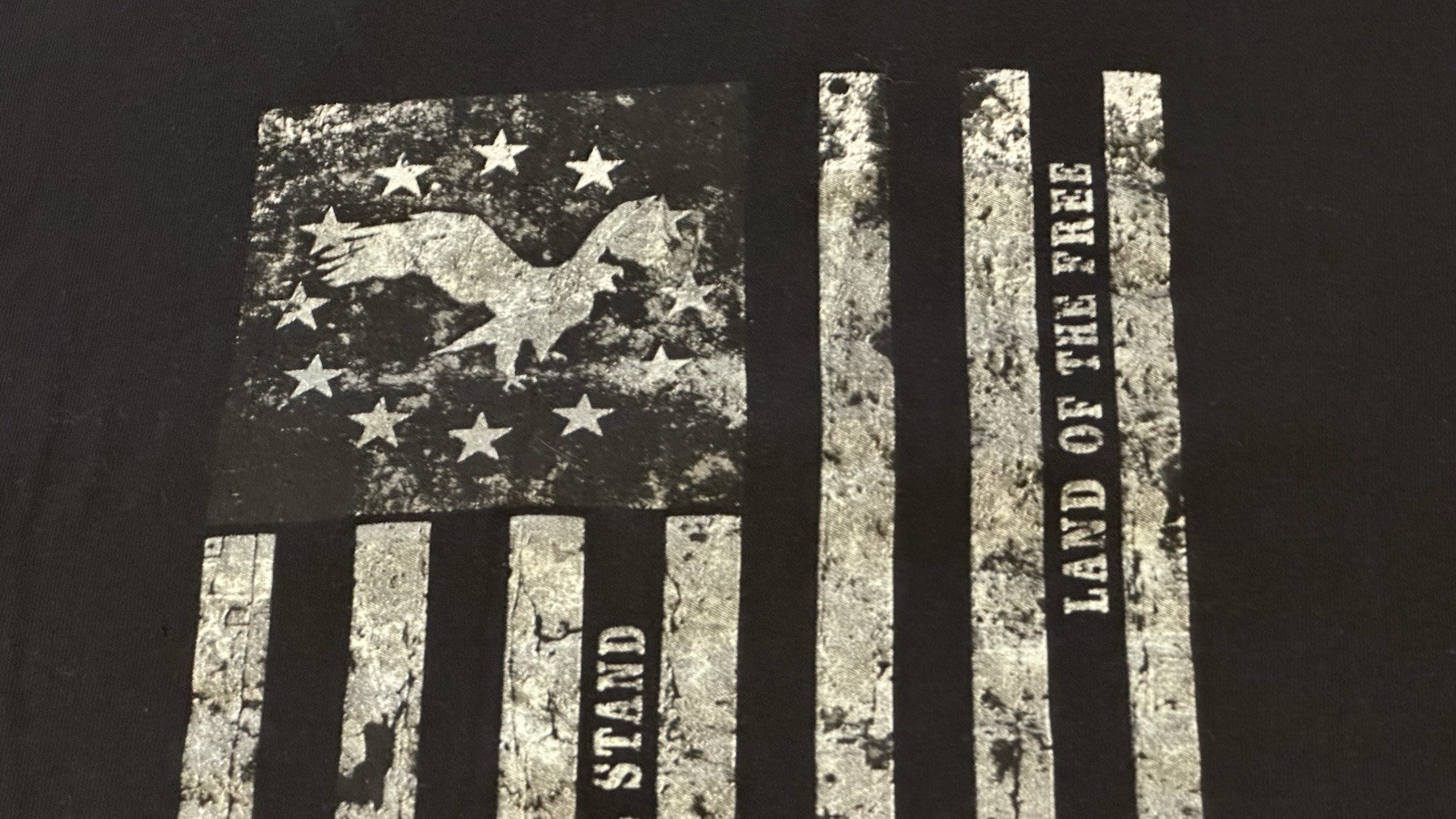 Buckhorn River USA Flag Eagle Graphic Tee Men M Black Crew Neck Cotton BRKS16176 gallery