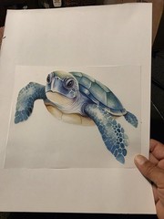 Custom Turtle Tshirts
