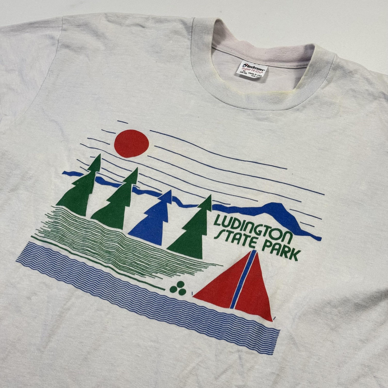 Vintage Stedman Shirt Mens XL Gray Ludington State Park Camping Graphic Tee USA gallery