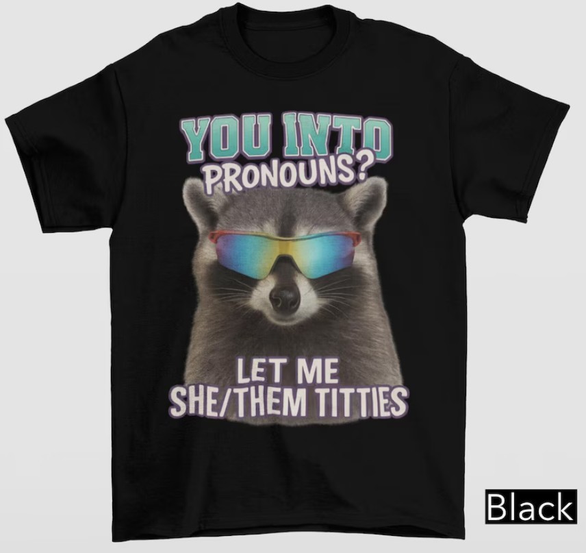 You Into Pronouns Let Me She Them Tittes, Vintage Unhinged Raccoon shirt new gallery