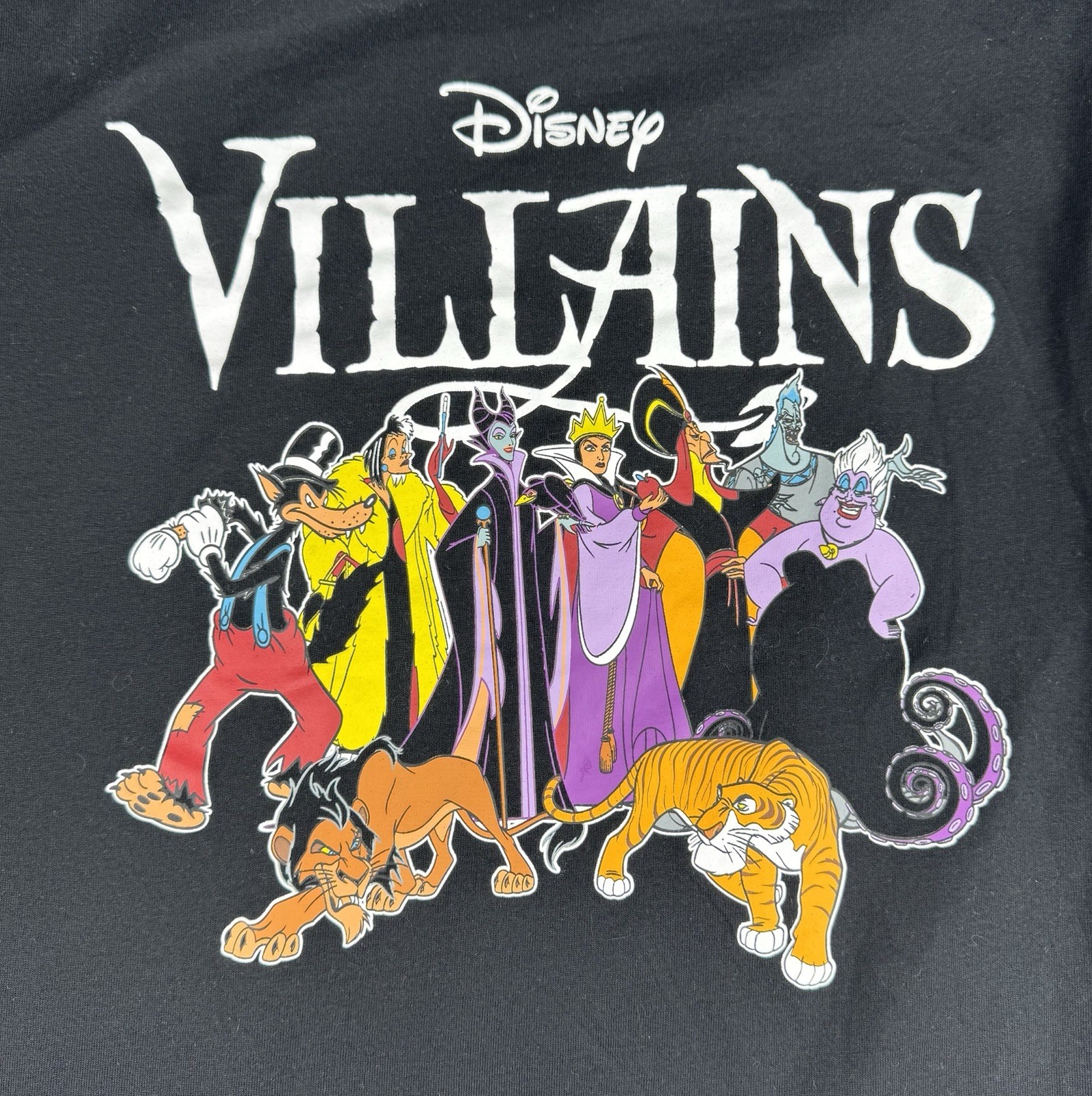 Disney Villains T-Shirt~Evil Queen~Scar~Hades~Ursula~Size Large~Great Condition gallery