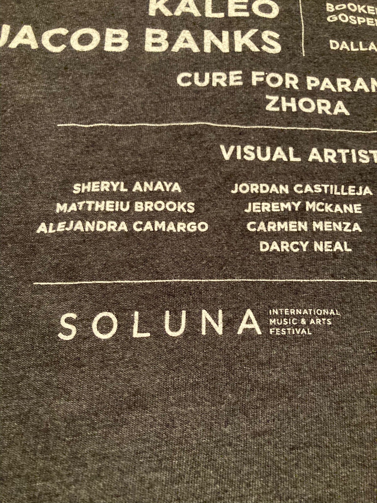 ARRAY Soluna Music & Arts Fest 2018 Concert T-shirt XL NAS Kaleo Big Gigantic TX gallery