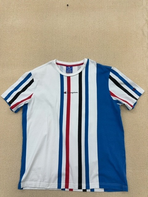 Champion Men’s Multicolor Striped Short Sleeve T-Shirt L Logo Crewneck