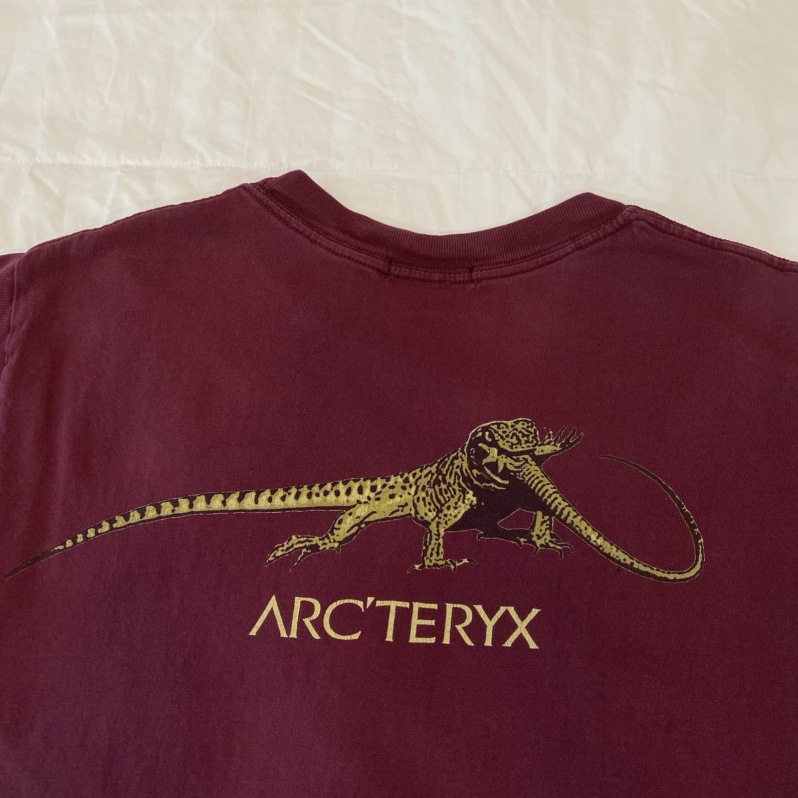Vintage Arc’teryx Big Tag Lizard Eat Lizard Tee - Men’s Medium - Ultra Rare gallery