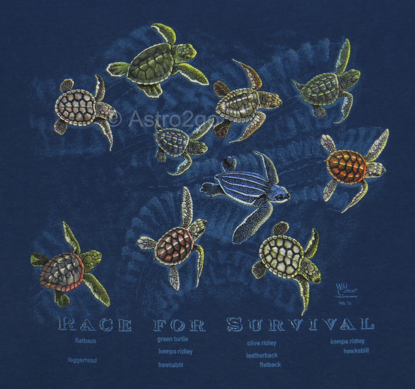 RACE FOR SURVIVAL-Sea Turtles Marine Ocean Aquatic Science Nature T shirt S, 3XL gallery