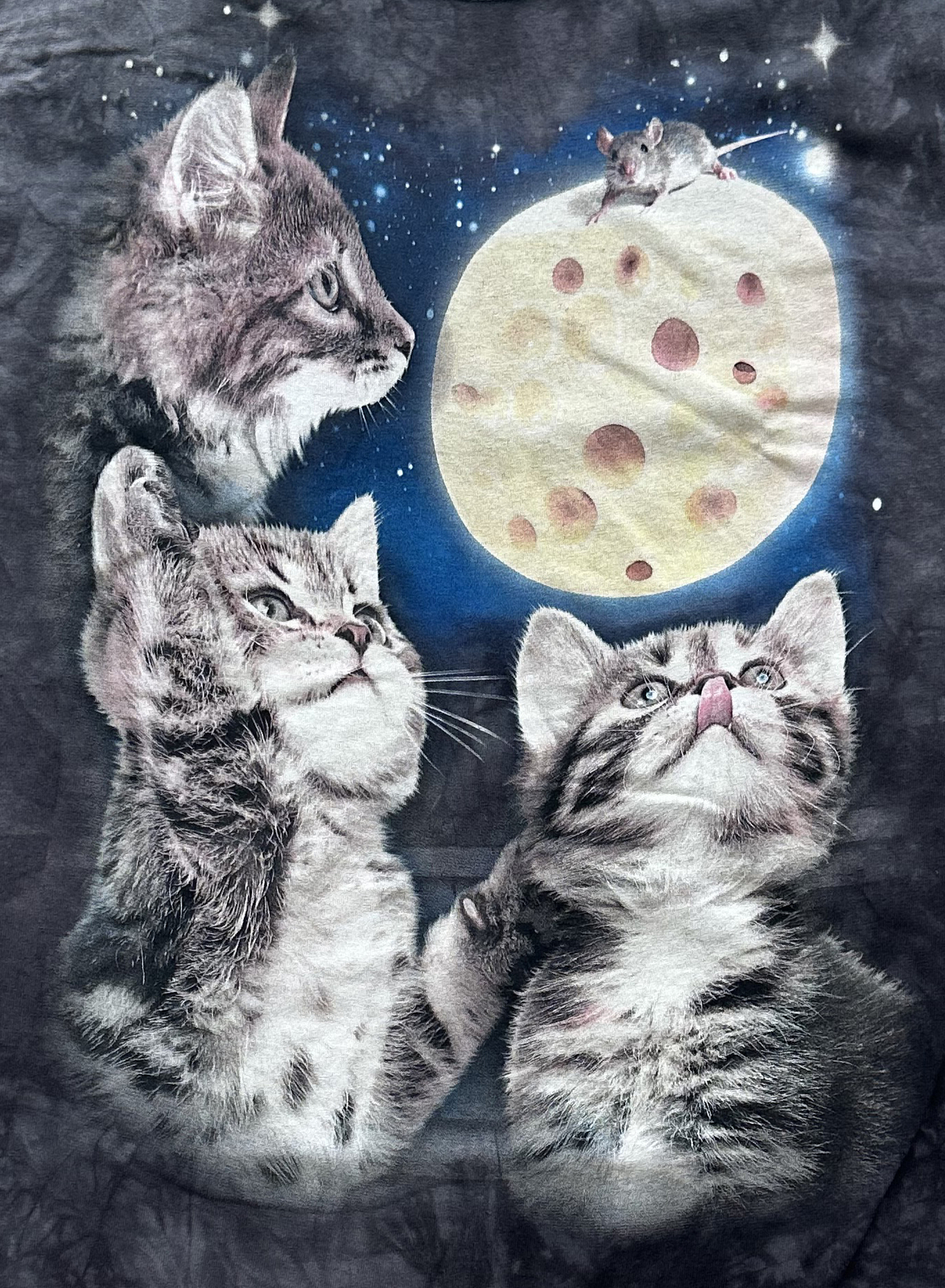 The Mountain Men's Three Kitten Cheese Moon T-Shirt gallery