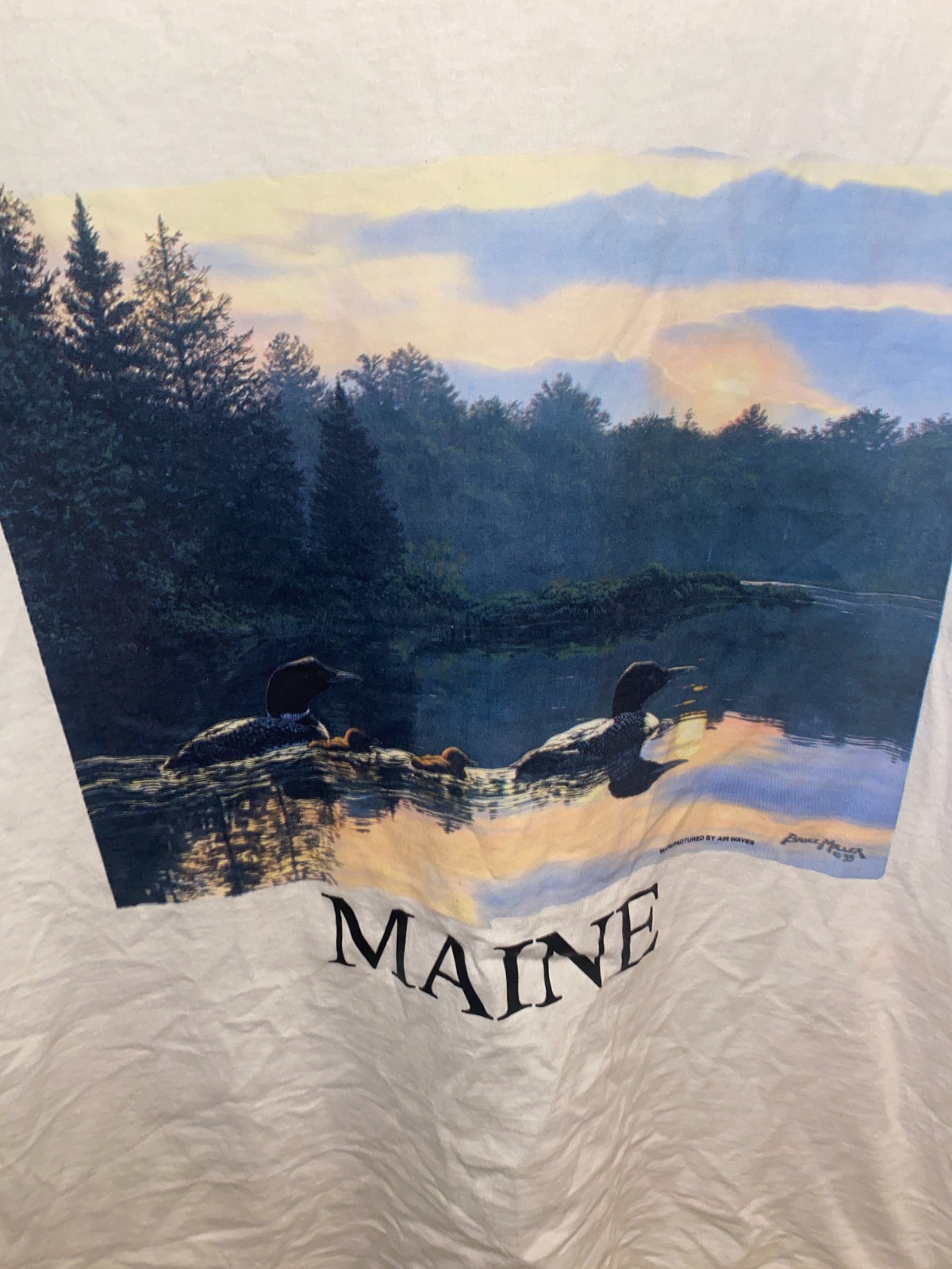 Oneita Shirt Mens L White Vintage USA Maine VTG Tee Travel Vacation Lake Forest gallery