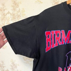 Vintage 90s Birmingham Black Barons Tee | Negro League Baseball | L/XL