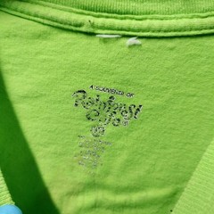 vintage rainforest cafe shirt Disney The Waters Fine Tee Green Wear 2xl A257