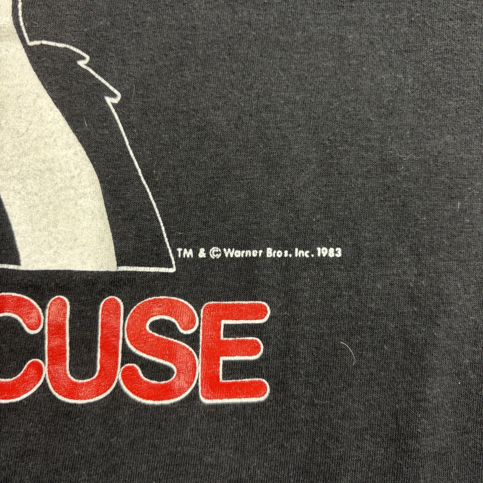 Vintage 80s Syracuse University Sylvester Cat T-Shirt Men’s Large Looney Tunes gallery