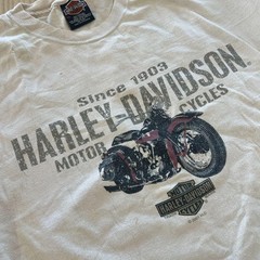 Vintage 2001 Harley-Davidson graphic tee