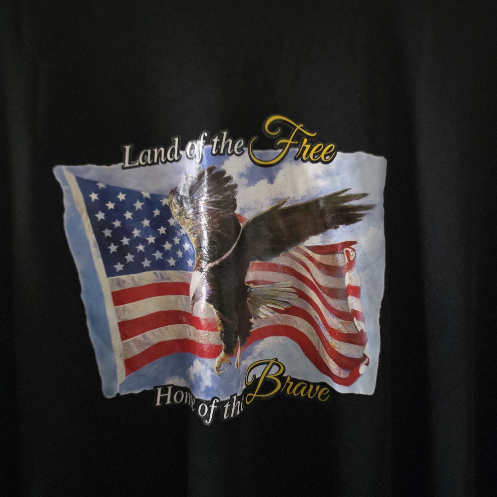 LAND OF THE FREE HOME OF THE BRAVE USA FLAG EAGLE LS Tee Shirt T-Shirt Sz L gallery