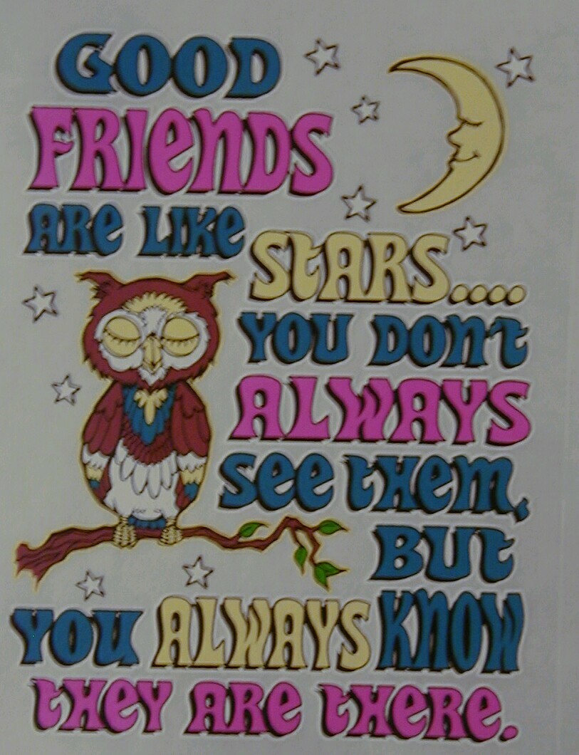 SASSY CHICK GOOD FRIENDS ARE LIKE STARS YOU DON’T ALWAYS… GIRL SHIRT #SC-4