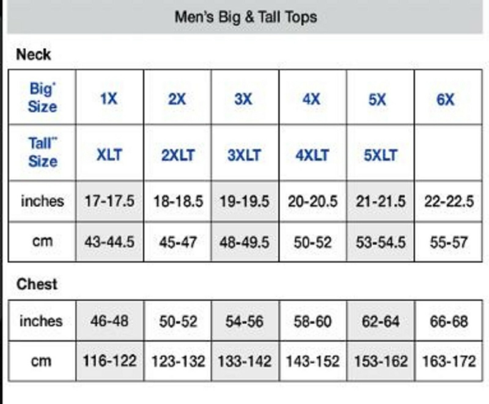 Champion Men's T-Shirt All Over Camouflage Big & Tall Flocked Logo Crew Neck Tee gallery