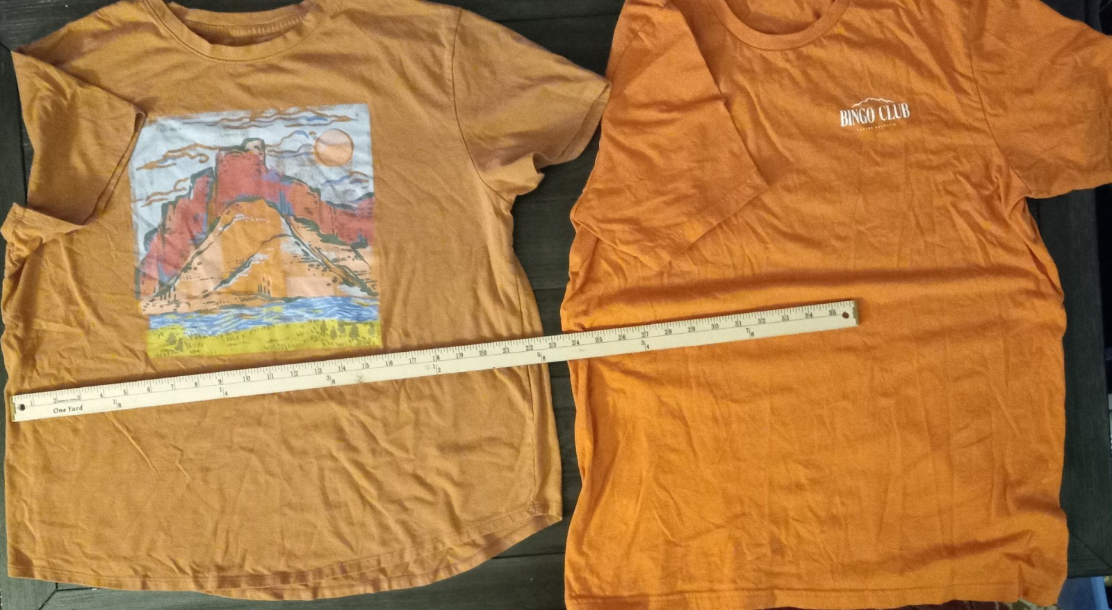 Two Great Orange/Rust Colored Tshirts: Sonoma Mountain Desert Scene Womans gallery