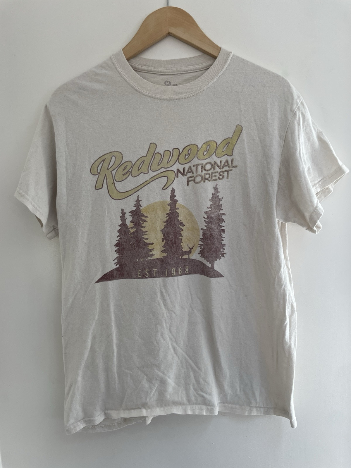 Goodie Two Sleeves Unisex Adult Redwood National Forest Cotton T-Shirt Beige M gallery