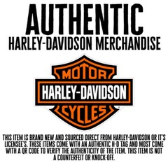 Harley-Davidson Men’s Staple Colorblock Tee – Colorblocked, Green – 96045-23VM