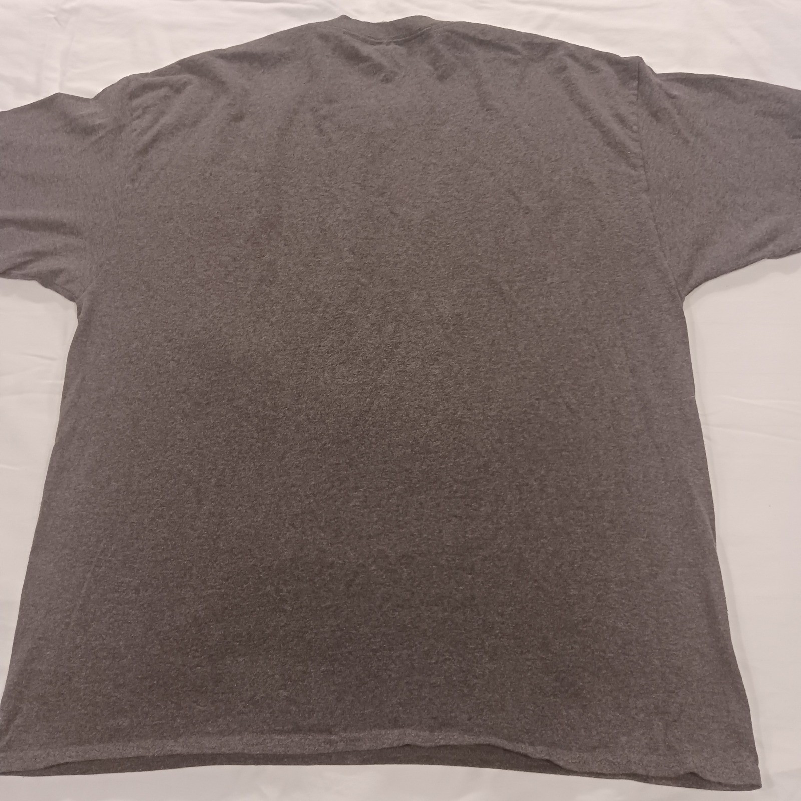 Hanes EcoSmart Edit Or Regret It Graphic T-Shirt L Mens Gray Funny Writer Tee gallery