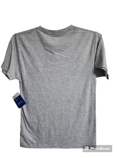 NWT AMERICA TRUE TO THE RED WHITE & BLUE MENS GRAY T-SHIRT SIZE S (34-36) gallery