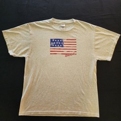 D.A.R.E. American Flag Men’s Tee Size Lg USA Just Say No Vintage Y2k T-shirt
