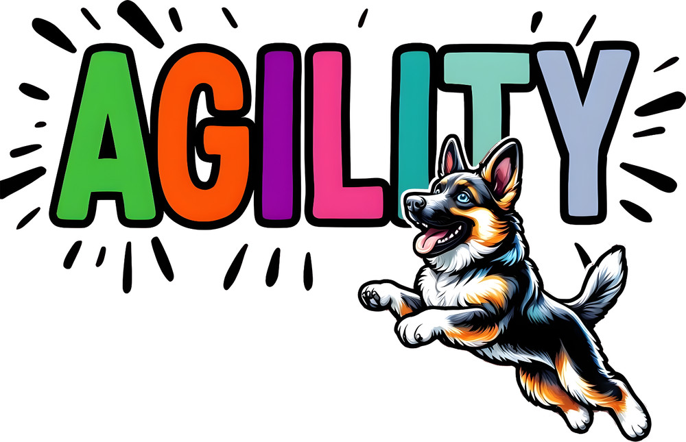 Dog Agility – German Shepherd – Couch Potato isn’t in their Job Description!