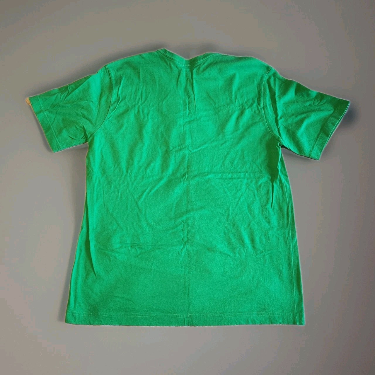 Apple Summer Camp T-shirt Large Green by Tony Shiau gallery