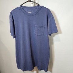 NWT Goodfellow & Co Mens Size L Blue Relaxed Fit T-shirt Short Sleeves Crew Neck