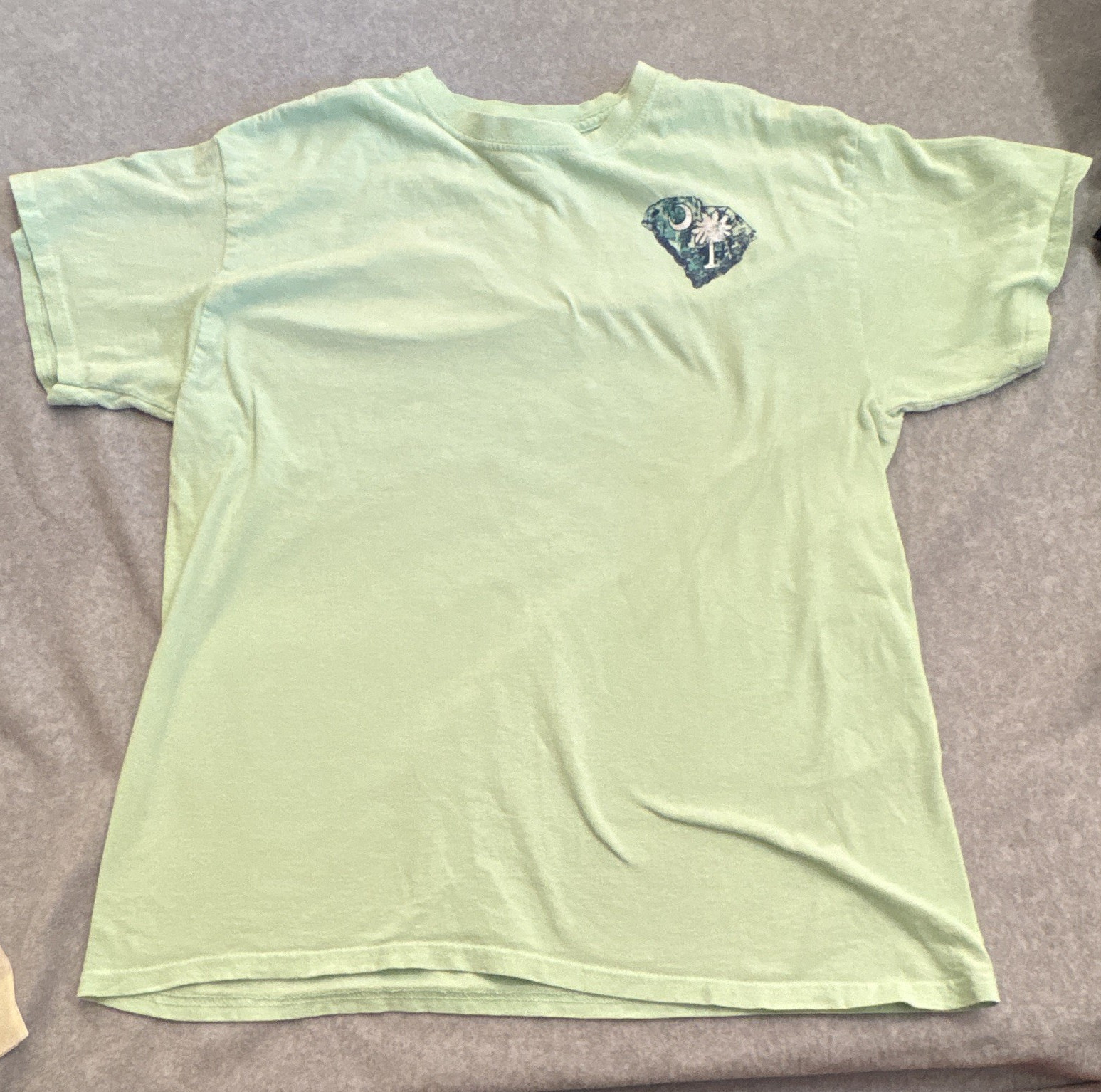 Gildan Cotton Men’s L Mint Green South Carolina Palmetto Graphic Tee Crew Neck