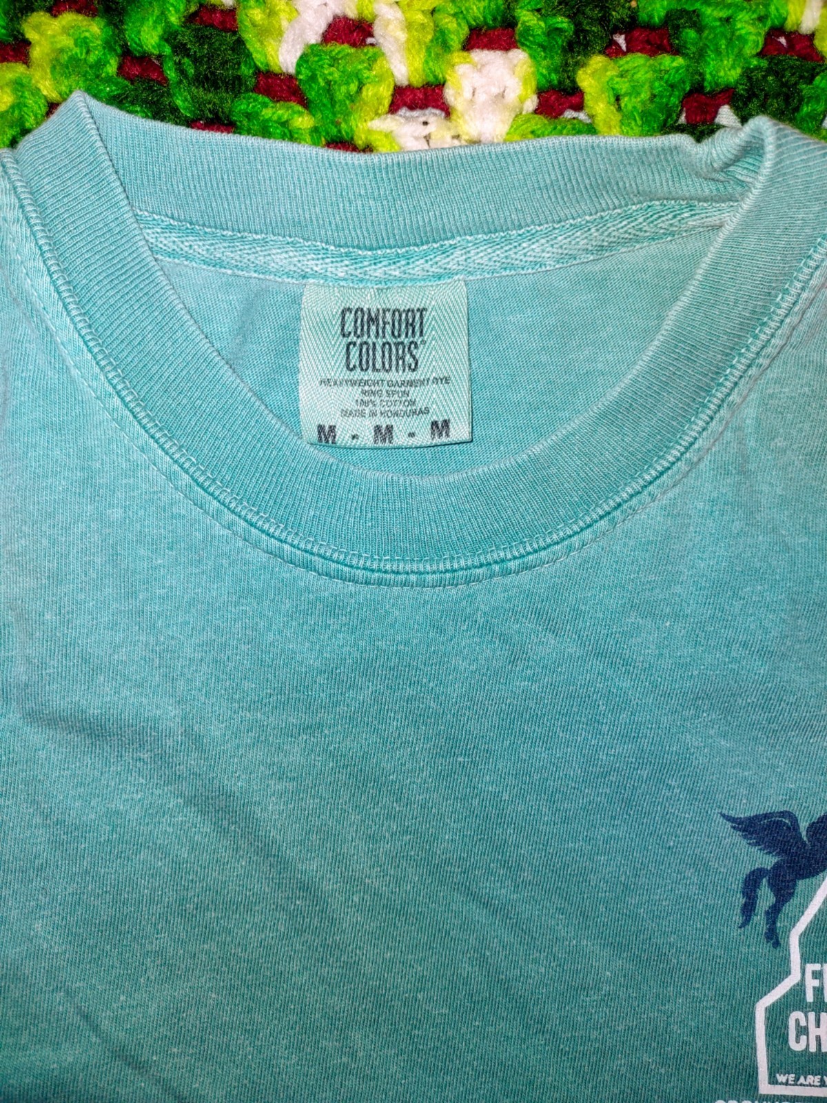 West Memphis Magical Unicorn Comfort Colors T-Shirt Teal Men's Med & Large gallery