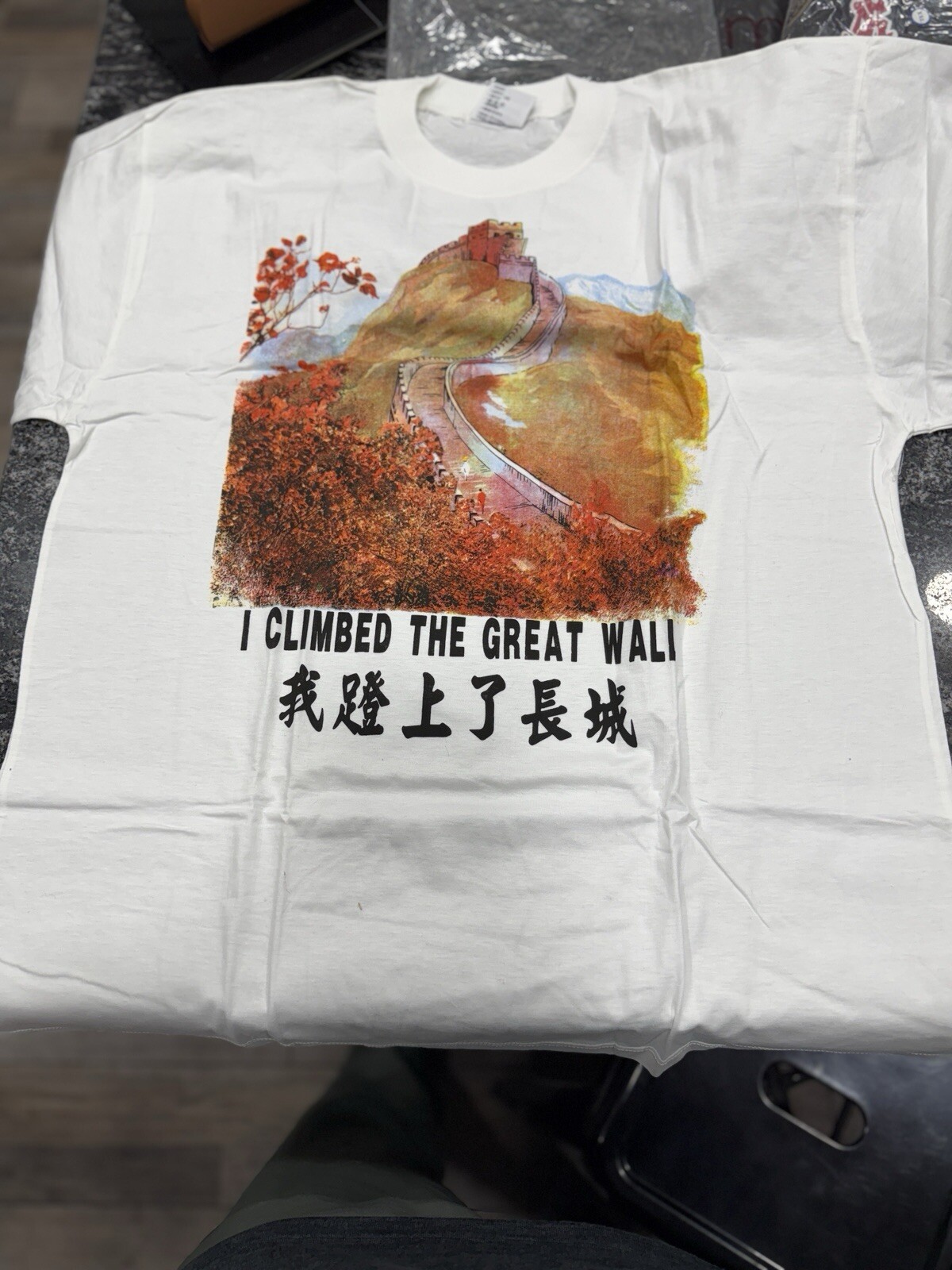 I Climbed The great Wall Of China T Shirt Size 105?