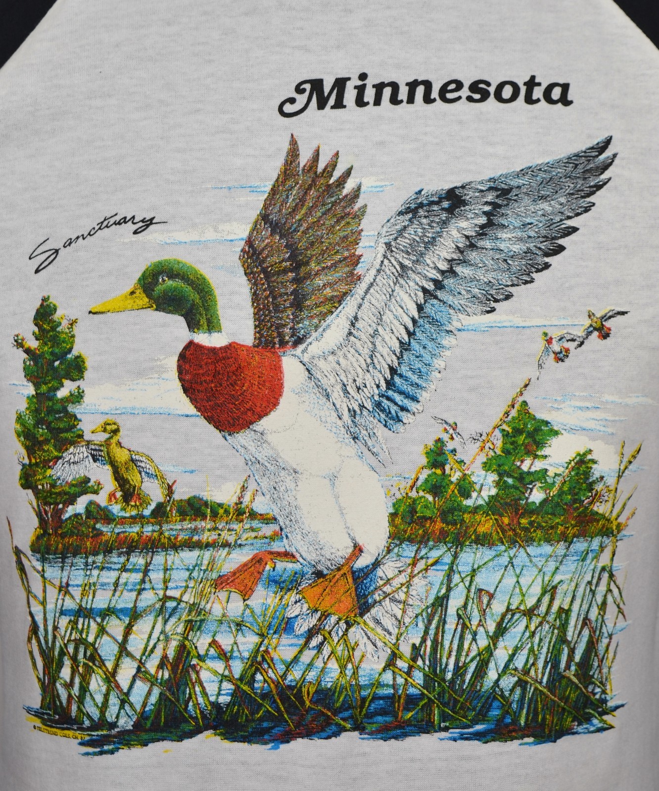 Vintage Minnesota Raglan T-Shirt Duck Sanctuary Nature Wildlife Tourist 1980's gallery