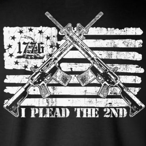 I Plead The 2nd Amendment Pro-Gun T-Shirt / Firearm Rights American Flag 1776 2A gallery