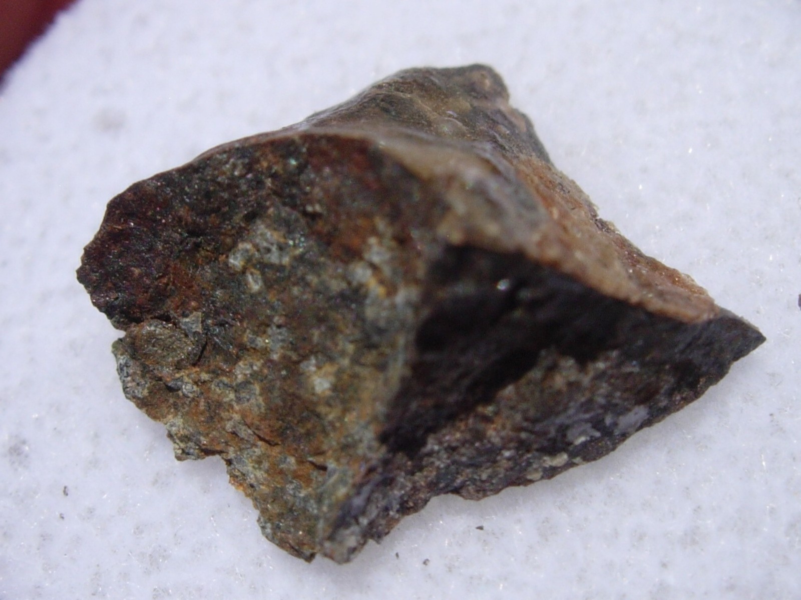 .683 grams Gomez Meteorite (L6) cut fragment found in Texas 2015 with a COA