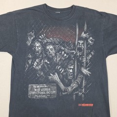 The Walking Dead Shirt Mens Medium Black Georgia Correctional Facility 2013 AMC