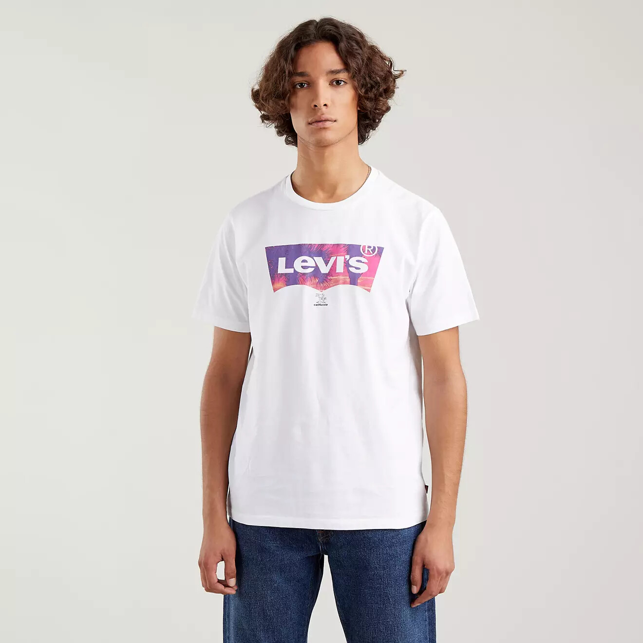 NWT Levi's Graphic Palm Fill Crewneck Tee Men's M, L, XL, XXL gallery