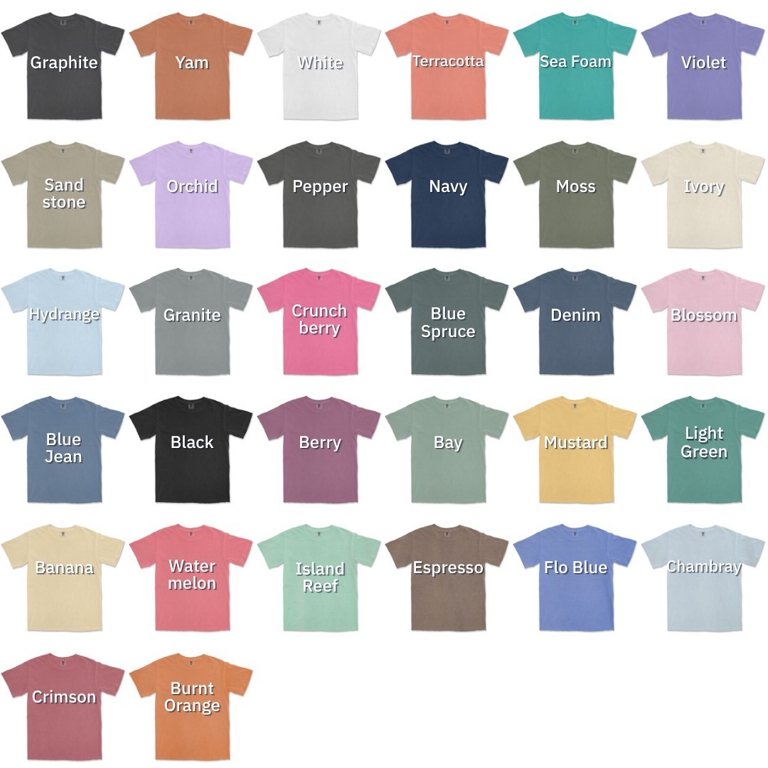 Sesame Street Graphic Comfort Colors Unisex Tee S-5XL gallery