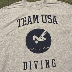 Men’s Large Team USA Diving America Olympics Gray Graphic Print T Shirt Vintage