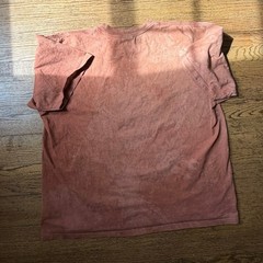 Vtg Andrea Bragg Designs 90’s Distressed Buffalo Graphic Tee Size XXL